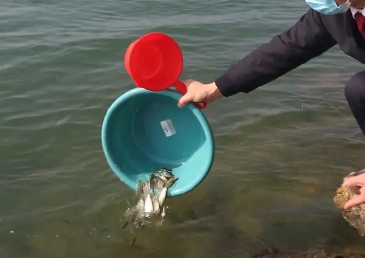 微信圖片_20230201153254.jpg 微信圖片_20230201153254.jpg