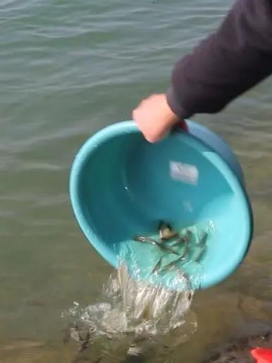 微信圖片_20230201153308.jpg 微信圖片_20230201153308.jpg